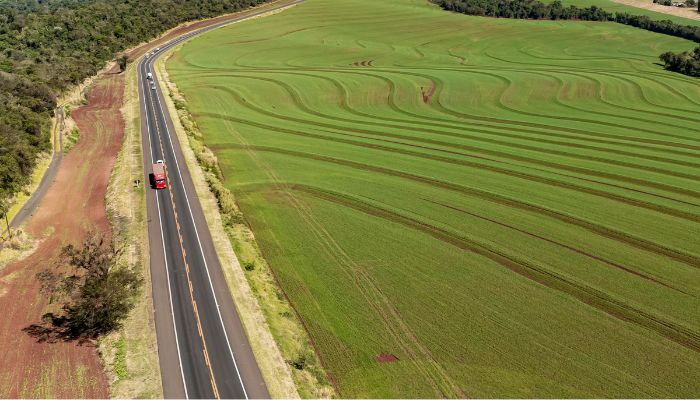  Lote 6 vai concluir a duplicação da BR-277 entre Cascavel e Foz do Iguaçu